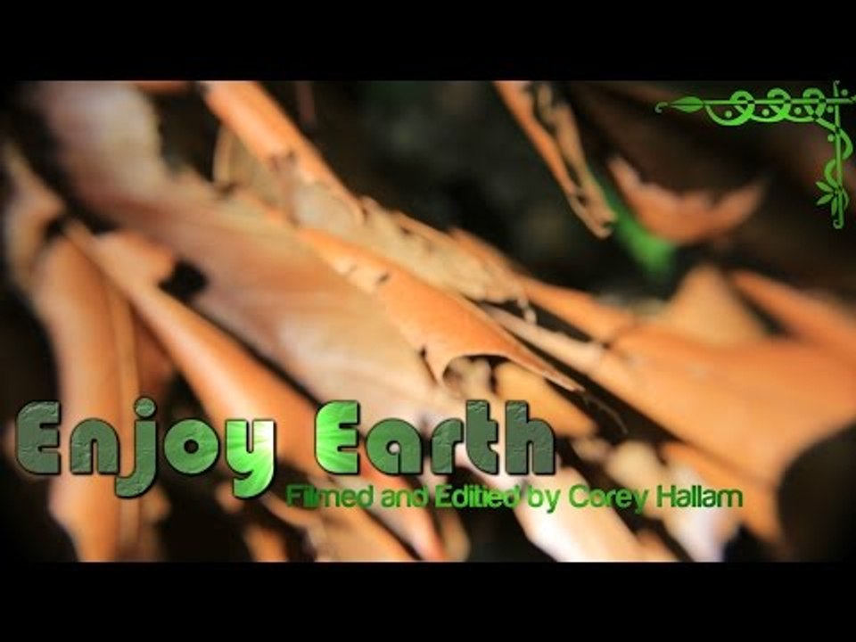 Enjoy Earth