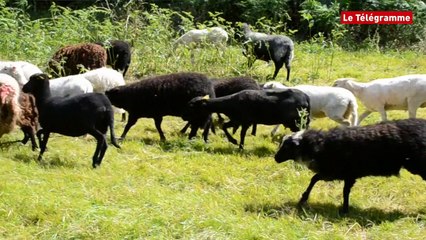 Agriculture. L'épargne solidaire pour disposer de leurs terres