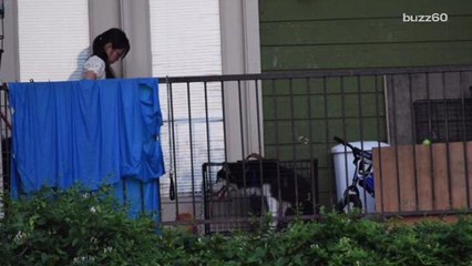 Facebook Post Saves 13 Animals From Terrible Owner