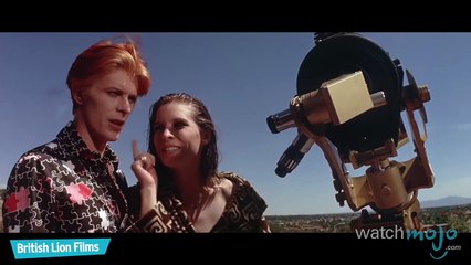 Top 10 Human With Alien Hookups (Quickie)