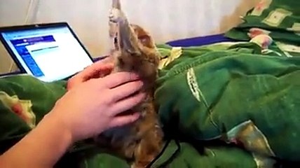 quem não adora um cafune kkk