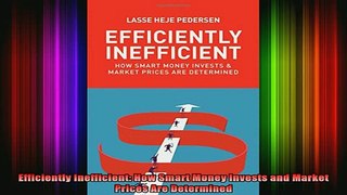 READ book  Efficiently Inefficient How Smart Money Invests and Market Prices Are Determined Full EBook