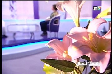 كيف الحال : الاثنين 27 يونيو