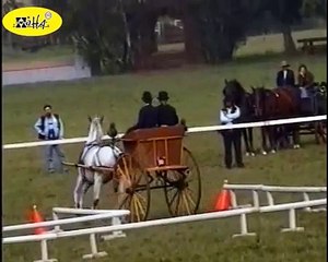 Funniest Sports Bloopers of 2011