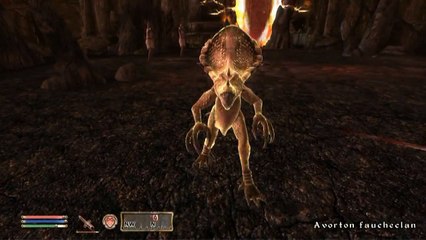 Confrerie - cadeau juillet 2010