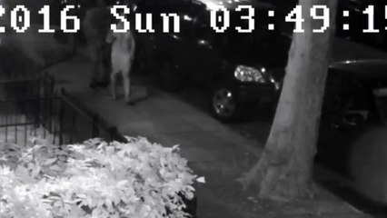 Woman Fighting Off Attacker Near Prospect Park