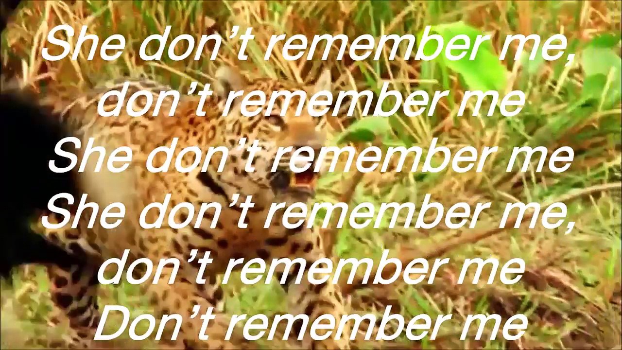 Parker Ighile - Remember Me ft. Nicki Minaj (LYRIC VIDEO)
