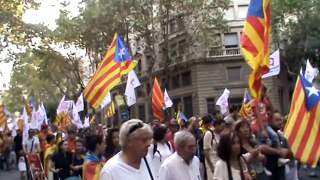 Manifestació de la Diada a Barcelona 2010 (24) Bloc Solidaritat Catalana