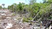 Grand Belizean Estates - Ambergris Caye, Belize (Clip 2 of 3) August 25 2009