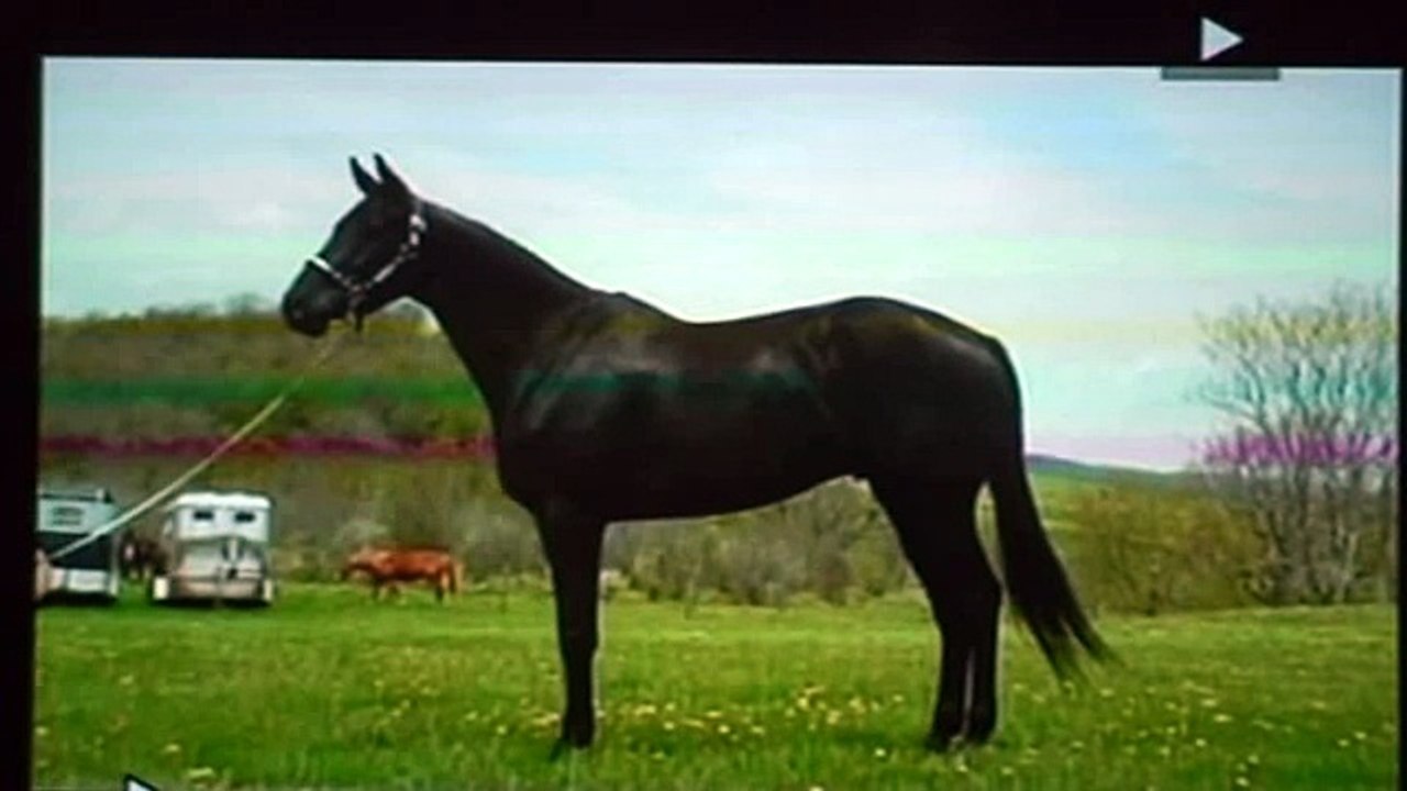 A Boy Named Blue Video 1