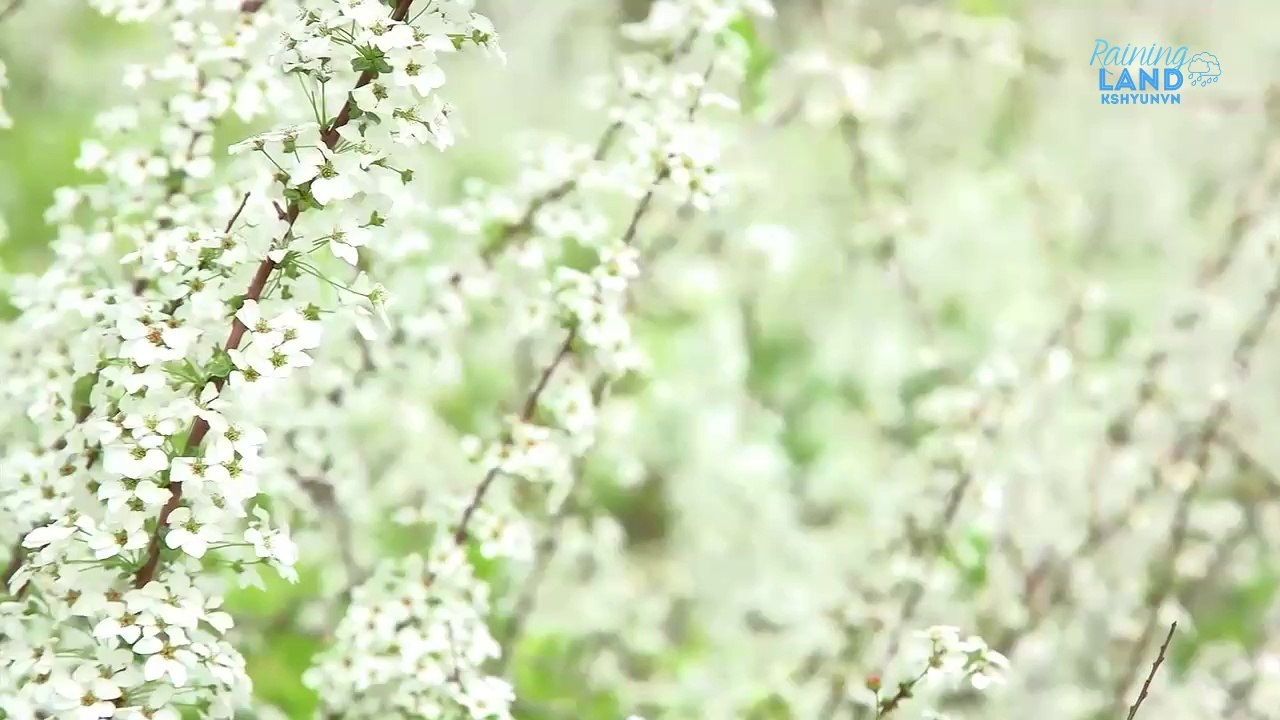 [Vietsub] Cool Kiz On The Block Ep.155 cut-guest Kim So Hyun