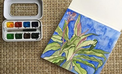 해외양방배팅 わ Supercar123.Com 가입코드6623 IBC주소