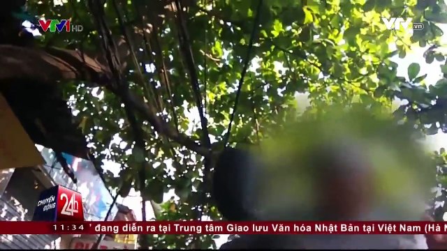 Ma trận phao thi trước kỳ thi tốt nghiệp THPT quốc gia.