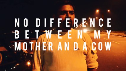 Our Top 5 Stories You Need To Watch Now