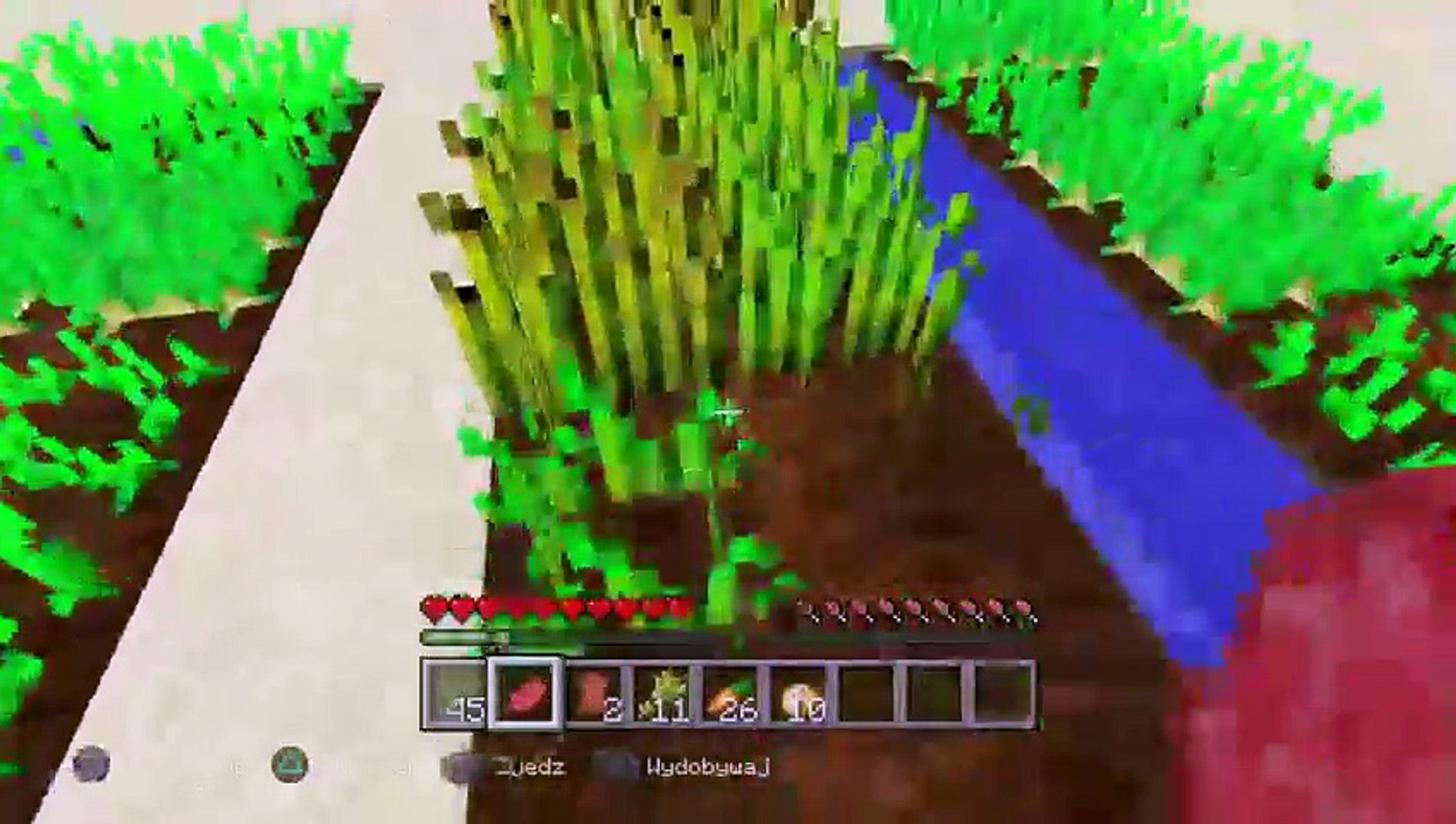 Minecraft survival odc 1 (2)