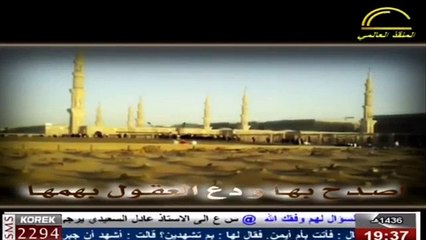 أنشودة - يا واقفا عند البقيع - أداء هاشم البهادلي