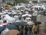 shibuya sous la pluie