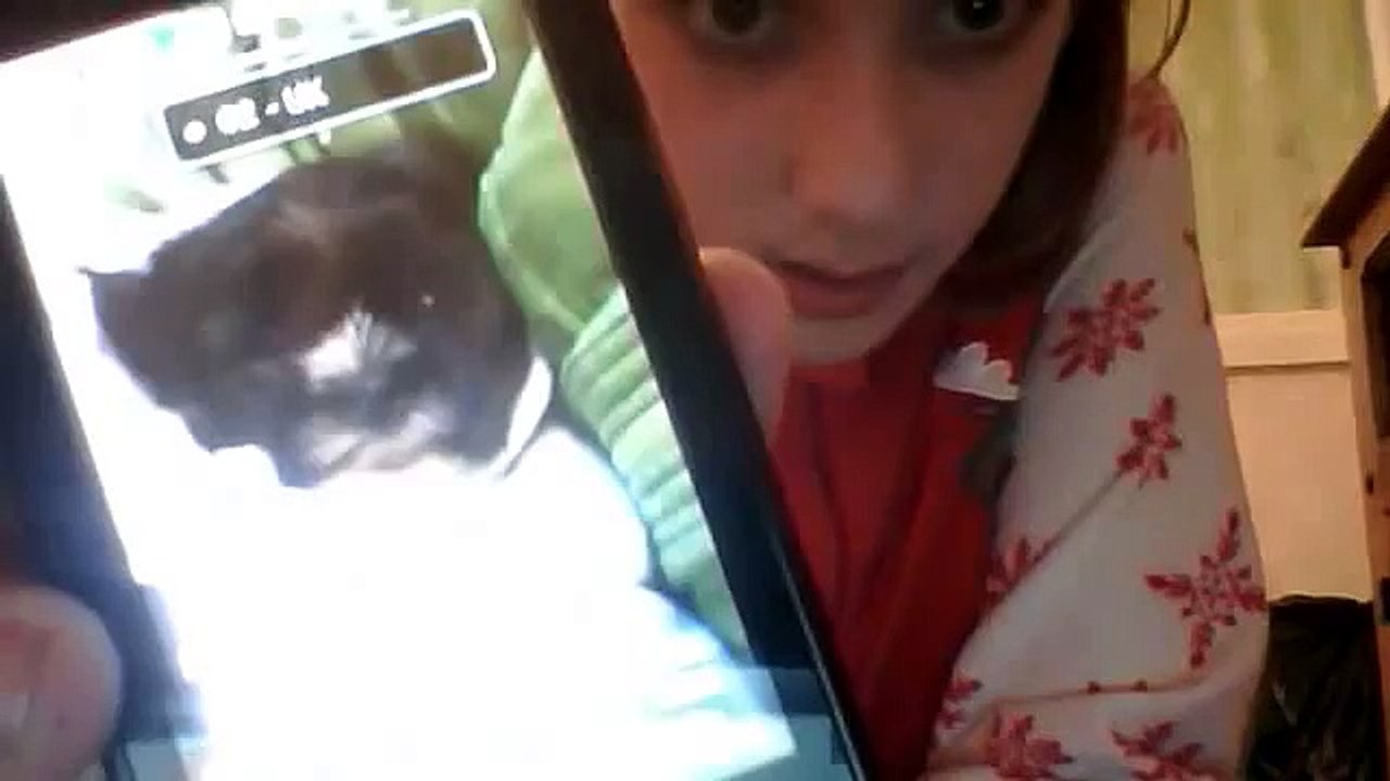 Webcam video from 10 November 2012 20:31  my animals xx