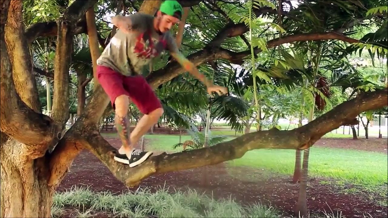 En plein dans les parties : nuttshot violent