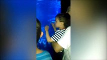Un gamin effrayé par une raie qui le frole dans un aquarium