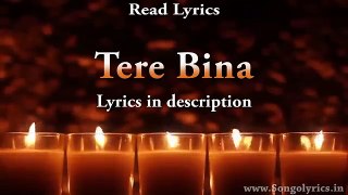 Usama Khan Tere Bina Full Song 2016 HD