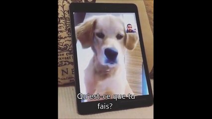 Quand tu fais un FaceTime avec ton chien