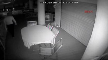 Adana Villanın Salonunda Köpekle Karşılaşan Hırsız Böyle Kaçtı