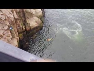 Kid Jumping From Bridge D. Luís - People are incredible