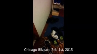 chicago blizzard on Feb 1st, 2015 (19 Inches of Snow)