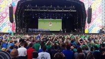 Will Grigg accueilli en héros en Irlande du Nord