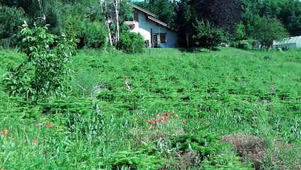 fusées reignier 2016