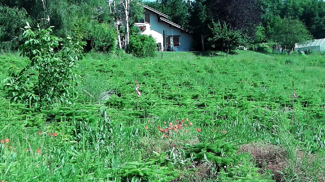 fusées reignier 2016