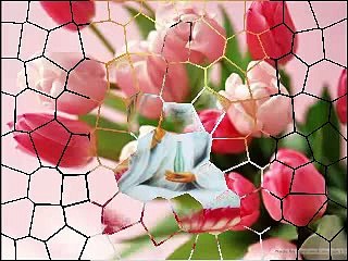 KINH TỤNG VU LAN BÁO HIẾU (6) ĐĐ. THÍCH TRÍ THOAT Tụng