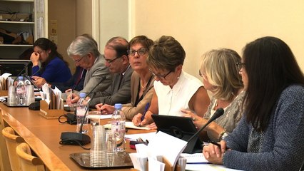 [Entretien] Revenu de base : Auditions de la mission d'information