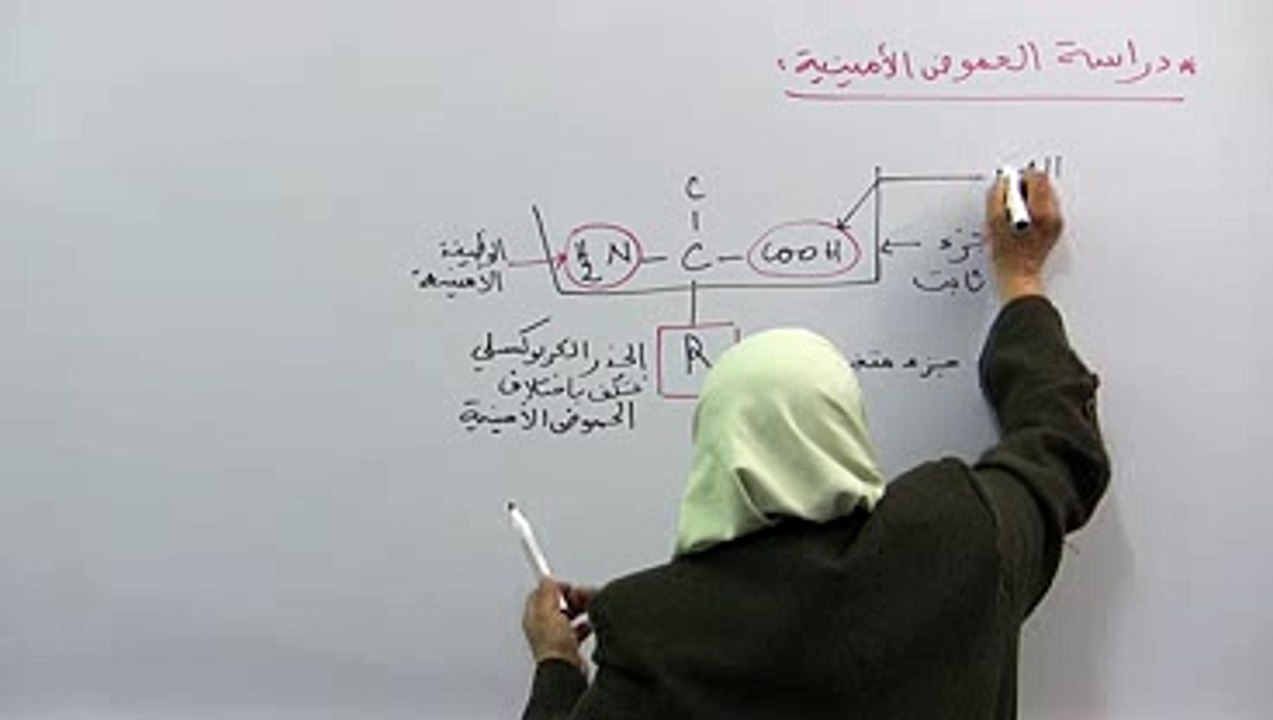 دراسة الحموض الأمنية