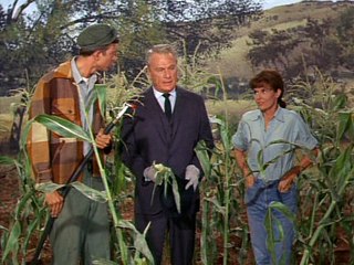 Green Acres S02e04 How To See South America By Bus