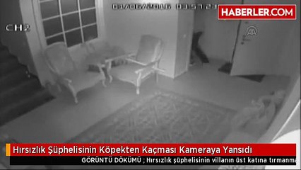 Hırsızlık Şüphelisinin Köpekten Kaçması Kameraya Yansıdı