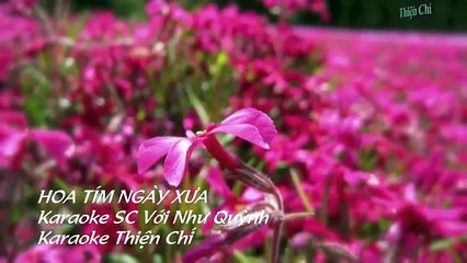 Karaoke-Hoa Tím Người Xưa-Song Ca Với Như Quỳnh