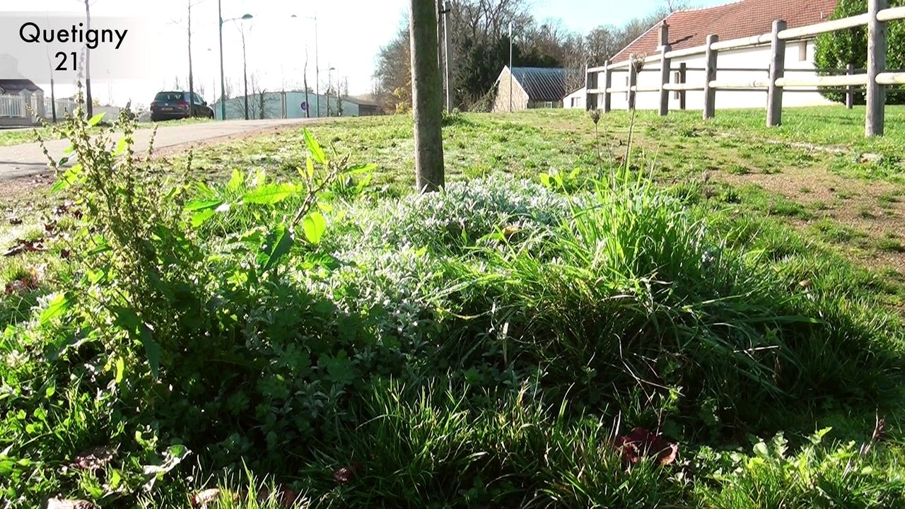 3-la gestion des espaces (en route vers le zéro pesticide en Bourgogne-Franche-Comté)