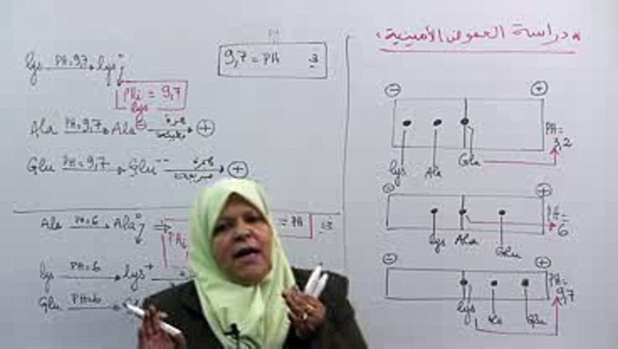 سلوك الأحماض الأمنية 3