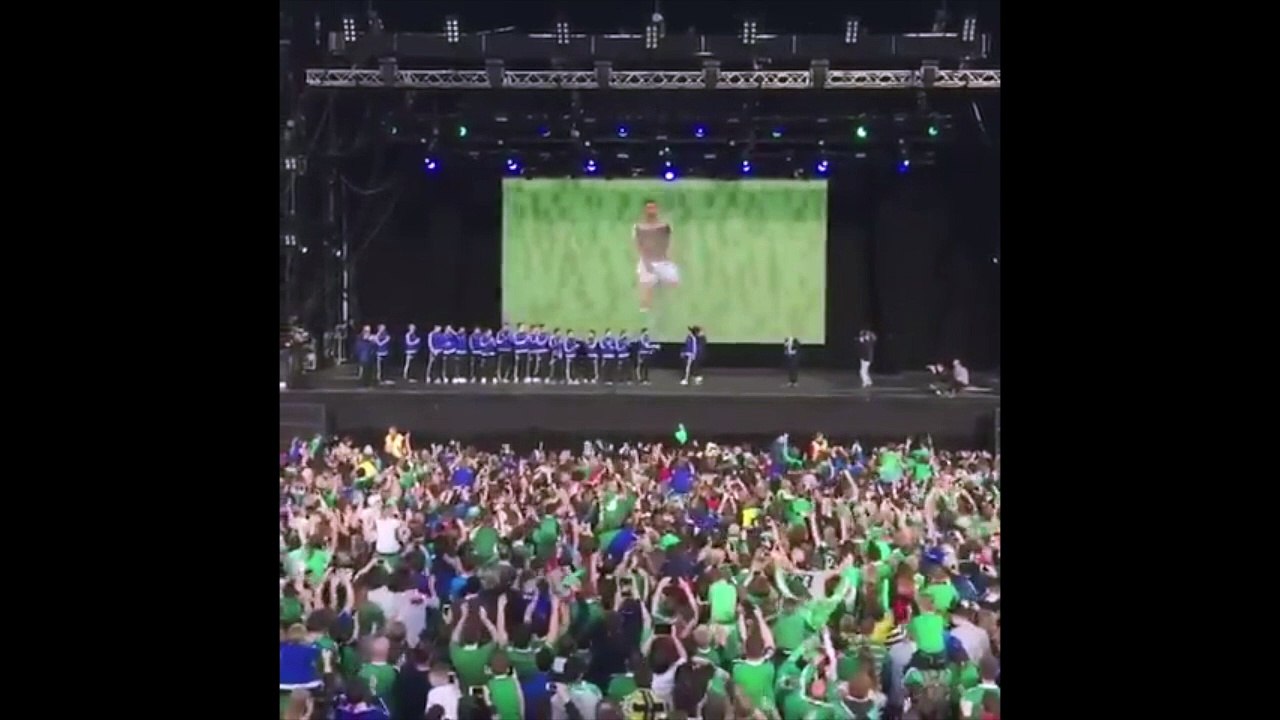 Les supporters Irlandais acclament Will Grigg au pays