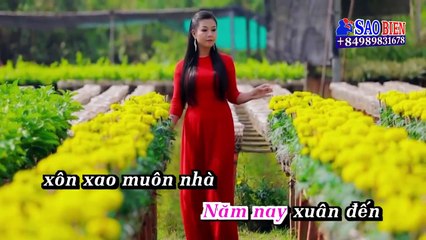 Karaoke Hỏi Nàng Xuân (Dương Hồng Loan) DEMO