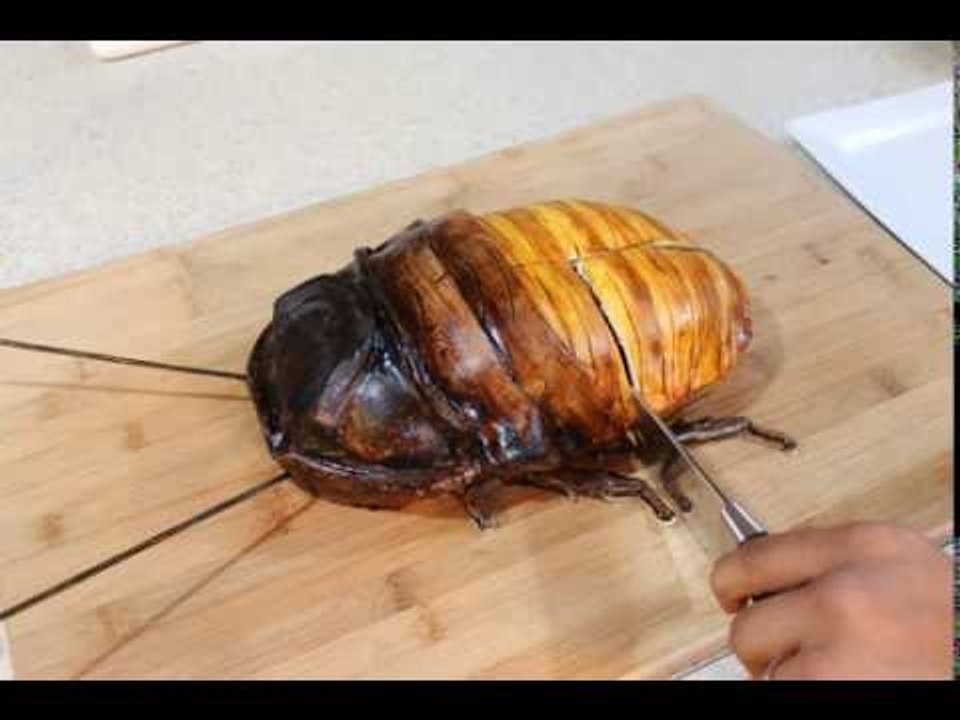 Talented Baker Makes Tasty Looking Cockroach Cake