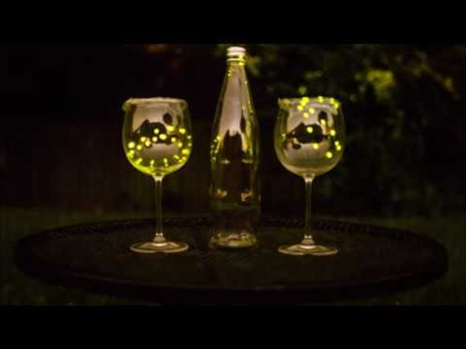 Fireflies Put on Awesome Light Show