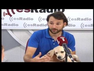 Mascotas: Adiestrar a perros para ayudar - 28/06/16