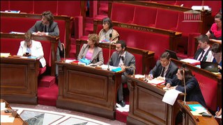 Mon intervention en séance publique pour le projet de loi Egalité et Citoyenneté, concernant le service civique