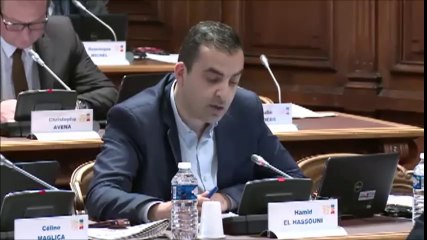 Hamid EL HASSOUNI. MuseoParc Alésia. Rapport d'activité 2015. 27 juin 2016