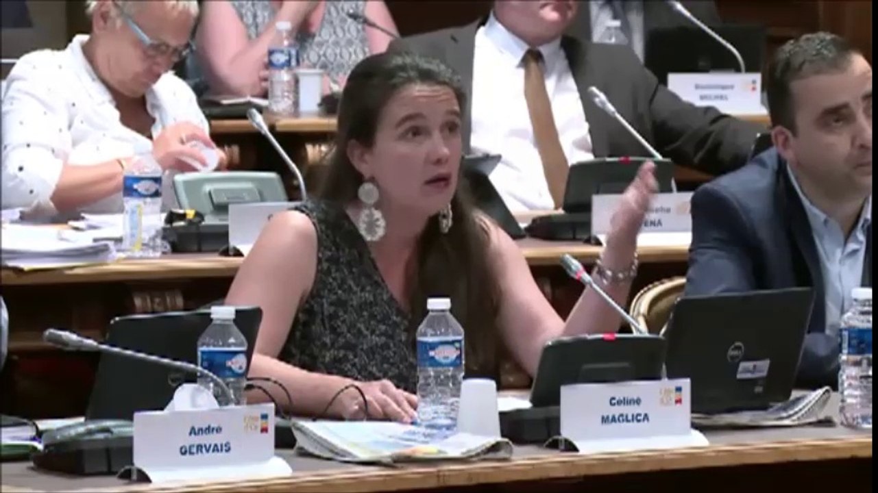 Céline MAGLICA. MuséoParc Alésia. Rapport d'activité 2015. 27 juin 2016