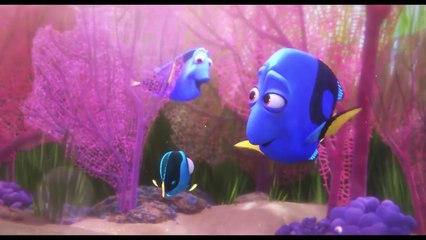 Disney Pixar's FINDING DORY - ALL the Movie Clips including BABY DORY ! (2016)