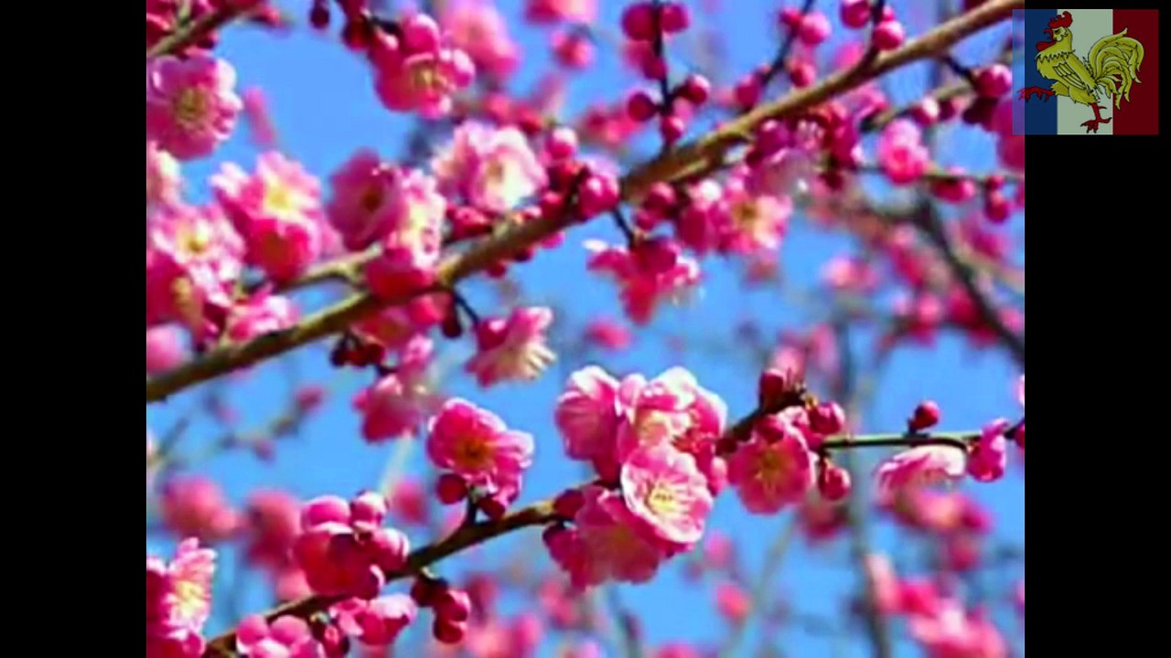 Les meilleures musiques de l'été - Les Patriotes Corp.